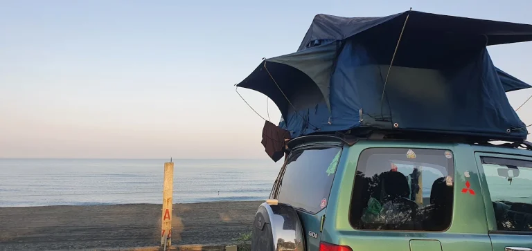 camping area under pine trees near the black sea coast black sea camping