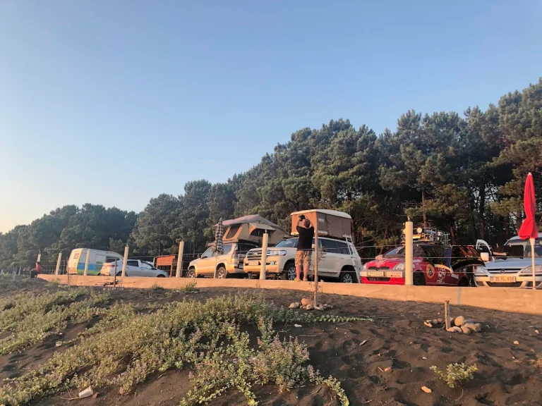 camping area under pine trees near the black sea coast black sea camping