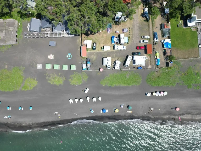 camping area under pine trees near the black sea coast black sea camping