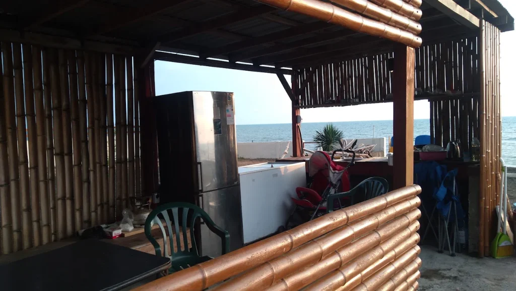 camping area under pine trees near the black sea coast black sea camping