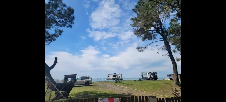 camping area under pine trees near the black sea coast black sea camping