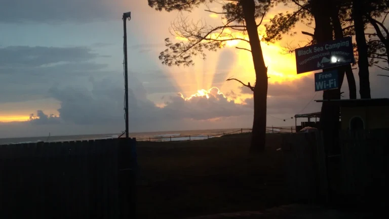 camping area under pine trees near the black sea coast black sea camping