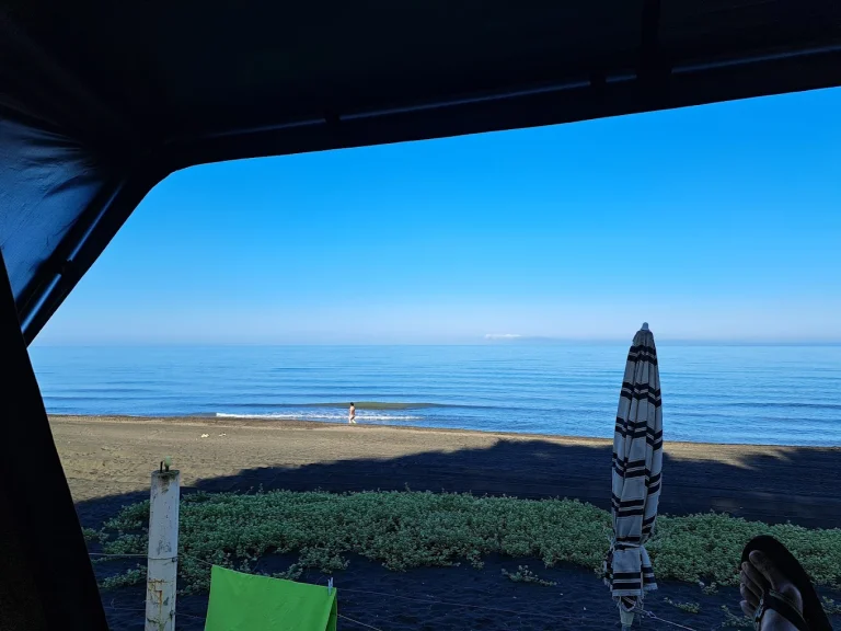 camping area under pine trees near the black sea coast black sea camping