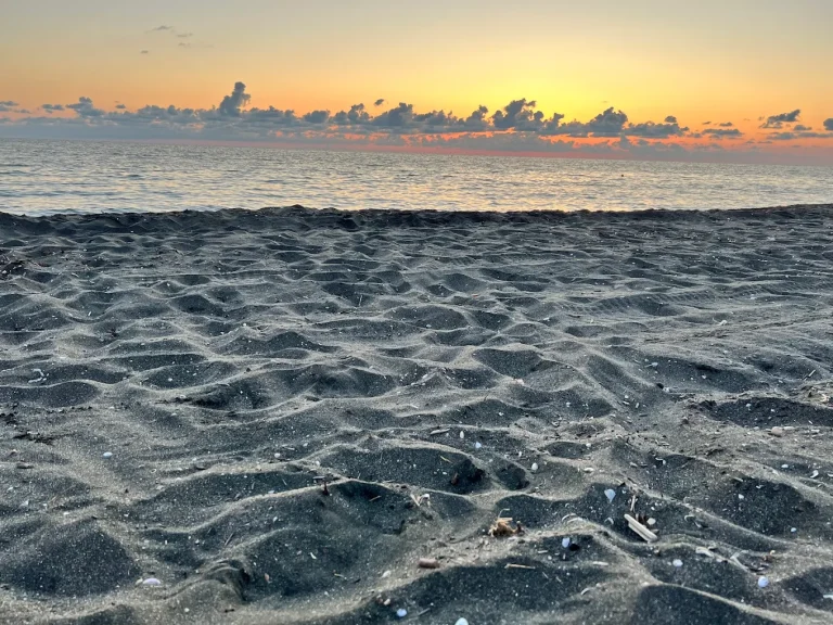 camping area under pine trees near the black sea coast black sea camping