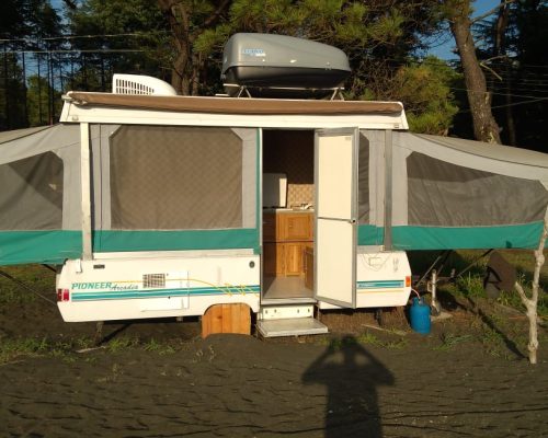 camping area under pine trees near the black sea coast black sea camping