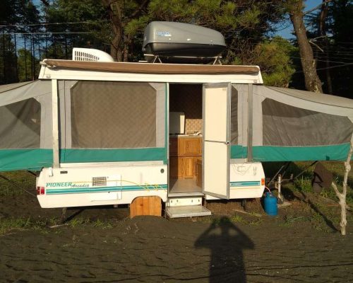 camping area under pine trees near the black sea coast black sea camping