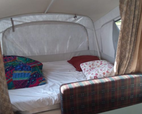 camping area under pine trees near the black sea coast black sea camping