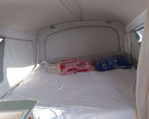 camping area under pine trees near the black sea coast black sea camping