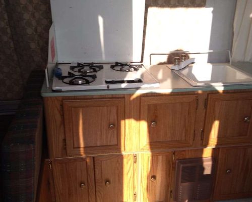 camping area under pine trees near the black sea coast black sea camping