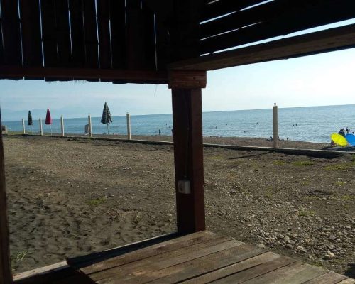 camping area under pine trees near the black sea coast black sea camping