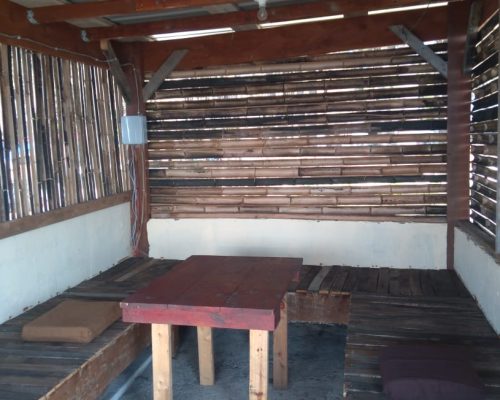 camping area under pine trees near the black sea coast black sea camping