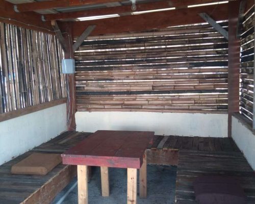 camping area under pine trees near the black sea coast black sea camping