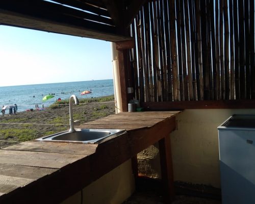 camping area under pine trees near the black sea coast black sea camping