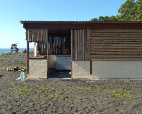 camping area under pine trees near the black sea coast black sea camping